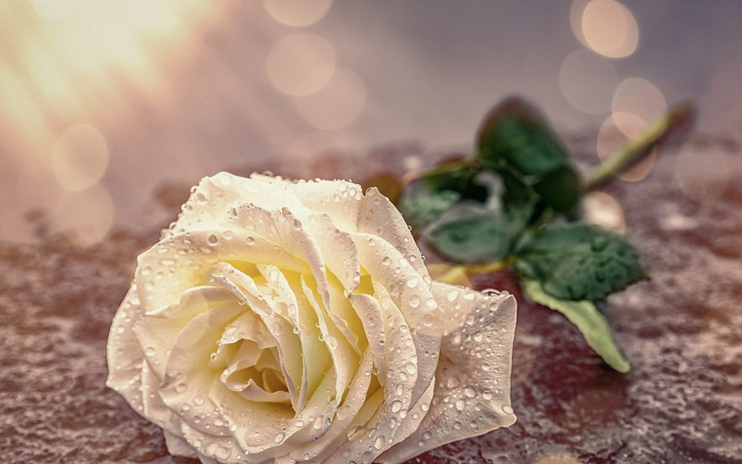 O czym warto pamiętać przy organizacji poczęstunku konsolacyjnego w restauracji?